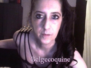 Belgecoquine