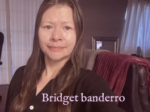 Bridget_banderro