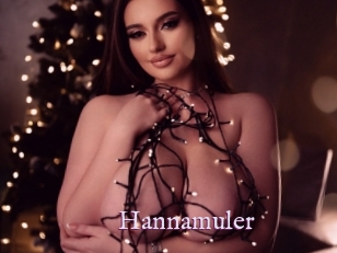 Hannamuler