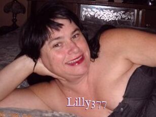 Lilly377