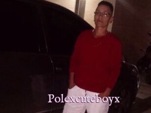 Polexcuteboyx