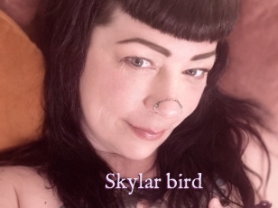 Skylar_bird