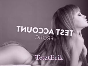 TesztErik