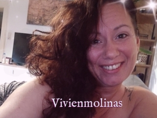Vivienmolinas