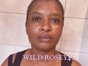 WILD_ROSEY40