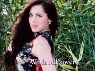 Wildredflower