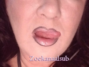 Zoekanaalsub